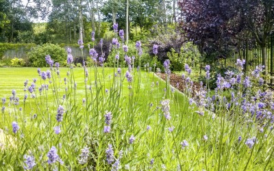 Ogrody ozdobne Mazury