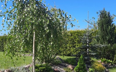 Zakładanie zieleni Węgorzewo