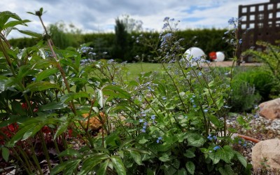Zakładanie ogrodów Giżycko