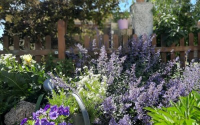 Ogród wiejski Mazury