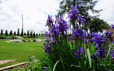 Kolorowe ogrody Giżycko