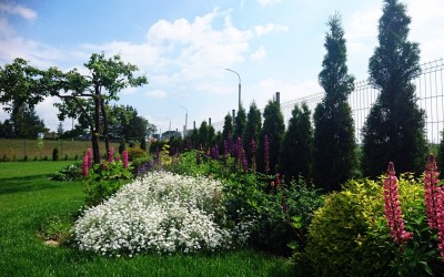 Nasadzenia roślin ozdobnych Mazury