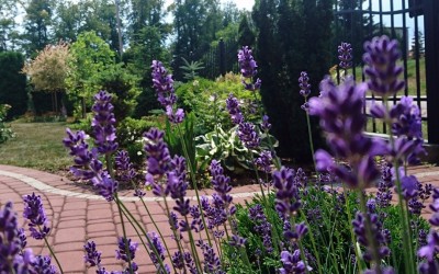 Zakładanie zieleni Giżycko