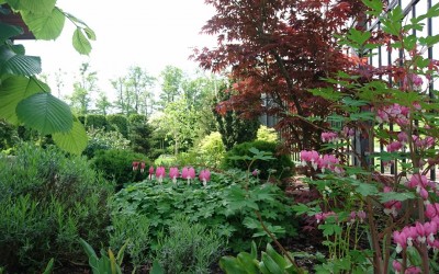 Pielęgnacja zieleni Giżycko