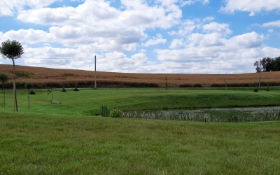 stawy, oczka wodne Giżycko