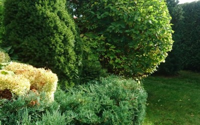 Pielęgnacja zieleni Mazury