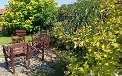 projekt zieleni Mazury