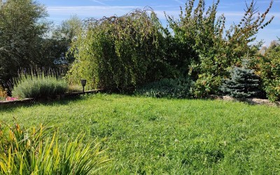 Zakładanie ogrodów Węgorzewo