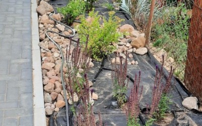 Zakładanie ogrodów Mazury