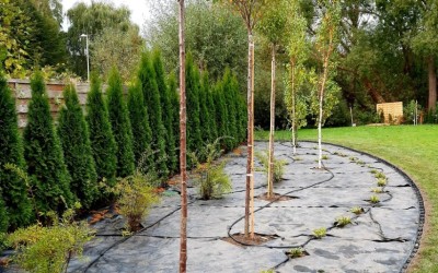 Budowa ogrodu Mazury