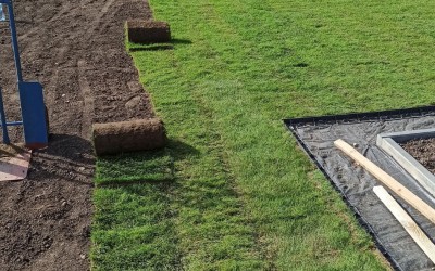 Zakładanie trawników Giżycko