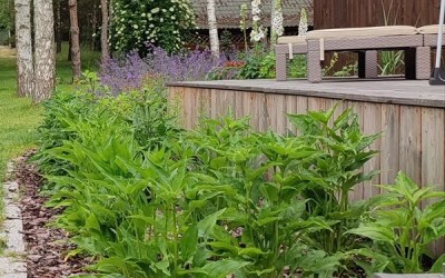 projektowanie ogrodów Giżycko