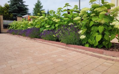 zakładanie ogrodów Giżycko