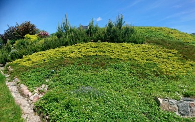 Zakładanie ogrodów Giżycko
