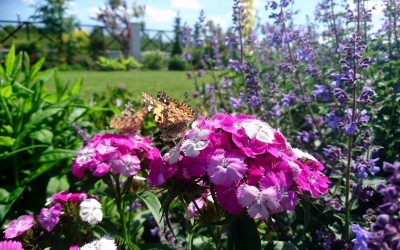 Ogród naturalistyczny